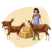 Image de la catégorie : About goat cheese